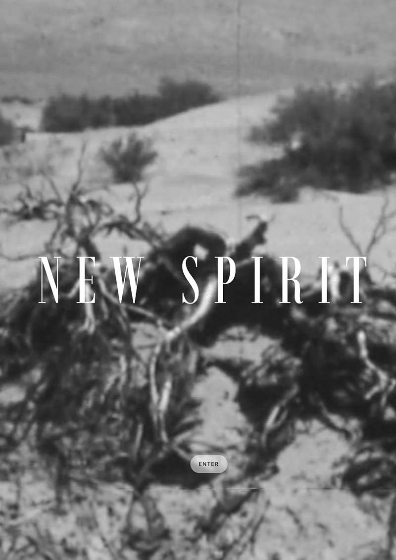 New Spirit is a work of docufiction—the imagined, virtual site of an abandoned utopian settlement, which, through nonlinear exploration, is discovered to be haunted by artifacts, images, and stories from the 19th-century United States. Fascinated by its idealism and disaster, Polish artist Laura Pawela for years researched, visited the sites of, and responded to such social movements in her work. New Spirit fragments, layers, and riffs on Pawela’s own and period archives to encompass, invoke, and even transcend the ideas, values, and spirit of this chapter of history—envisioned as a place where all who dreamed of a better life would have truly been welcome, even if it, too, likely would have ended in misfortune. Utopian in itself, the project ultimately invites us to consider our world today, and how we want to live together in it. 
</p>
